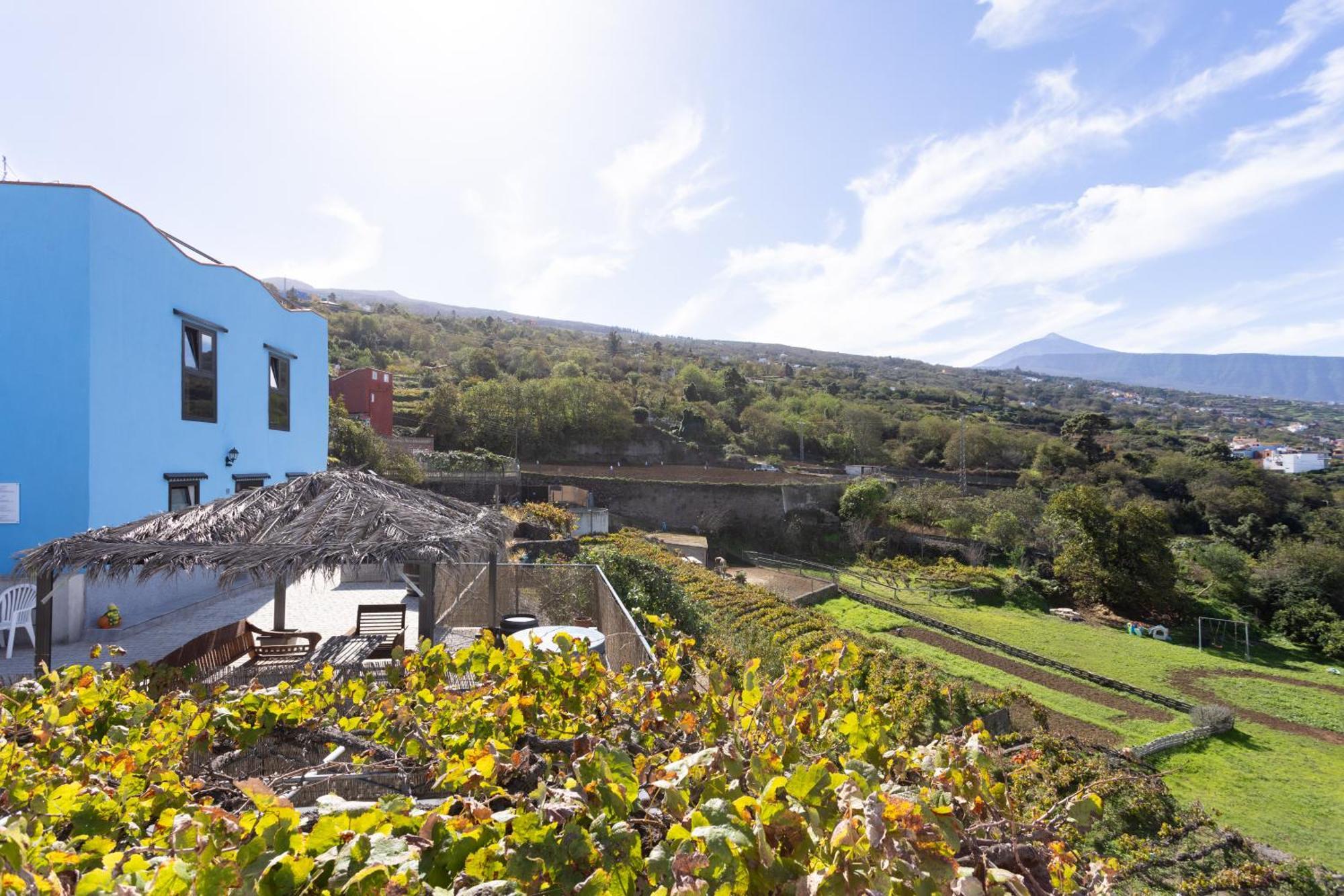 Ek Drago Finca El Milagro La Orotava Exteriér fotografie