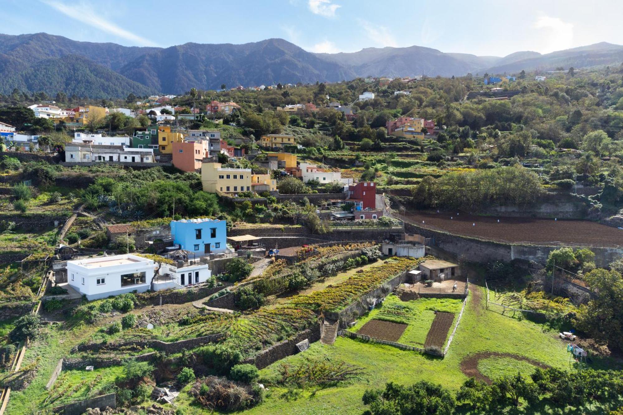 Ek Drago Finca El Milagro La Orotava Exteriér fotografie