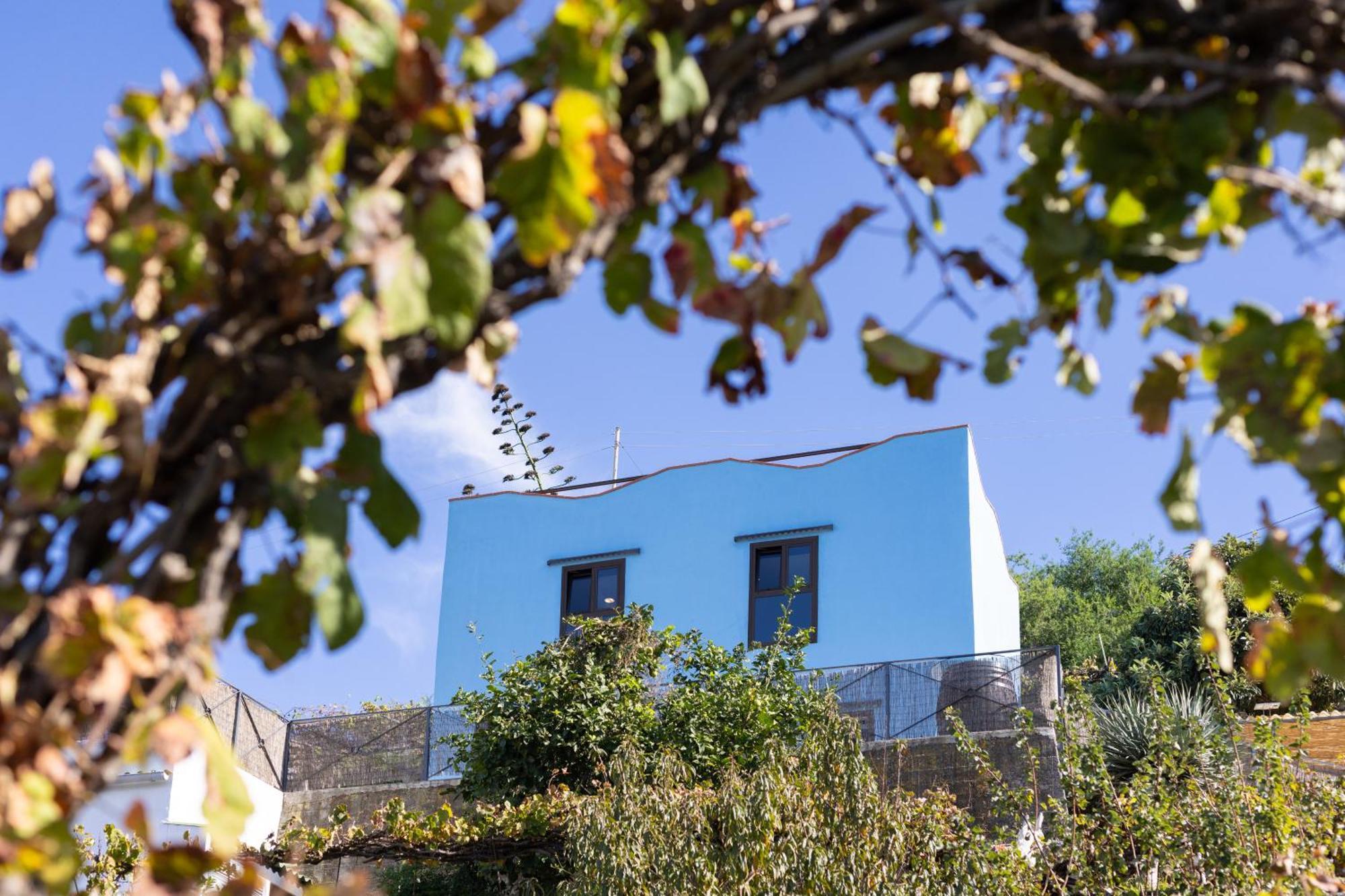 Ek Drago Finca El Milagro La Orotava Exteriér fotografie